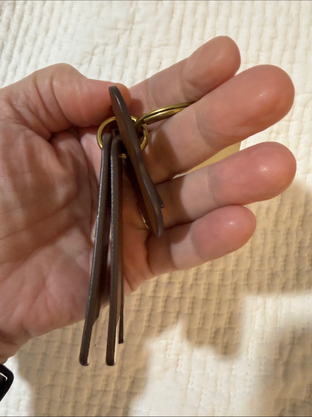 Fossil Dog Keychain Accessory - Picture 4 of 4